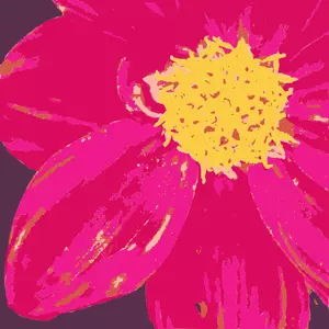 Dahlia flower vector graphics